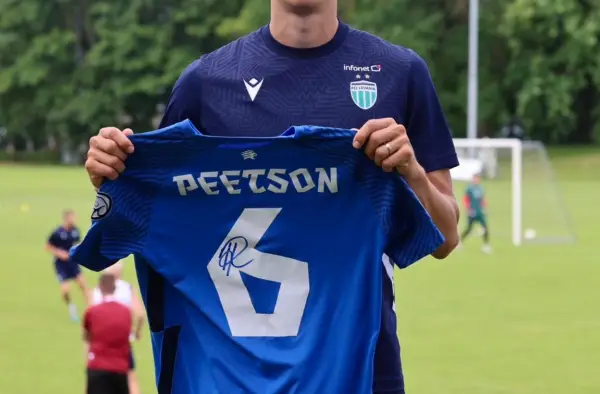 Heategevuslik oksjon x Rasmus Peetson